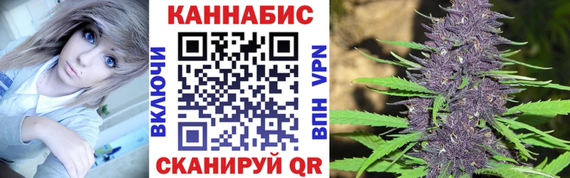 Бошки Шишки VHQ Инза